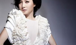 陶红电视剧,演绎人生百态，诠释情感真谛